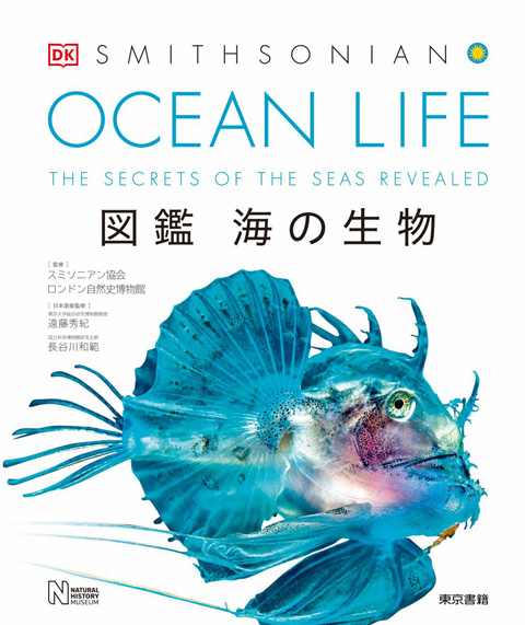 東京書籍】 一般書籍 自然科学 OCEAN LIFE 図鑑 海の生物