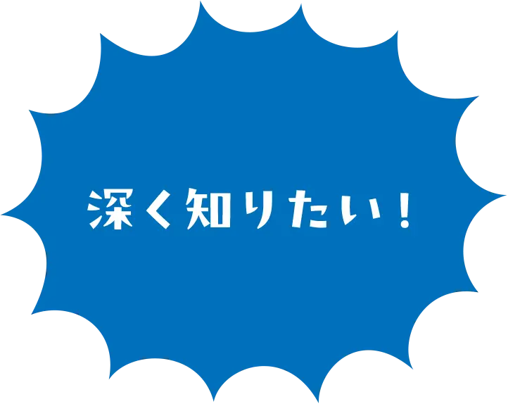 深く知りたい！