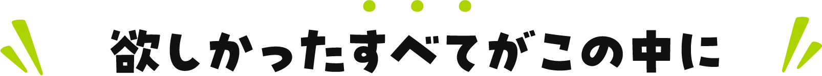欲しかったすべてがこの中に