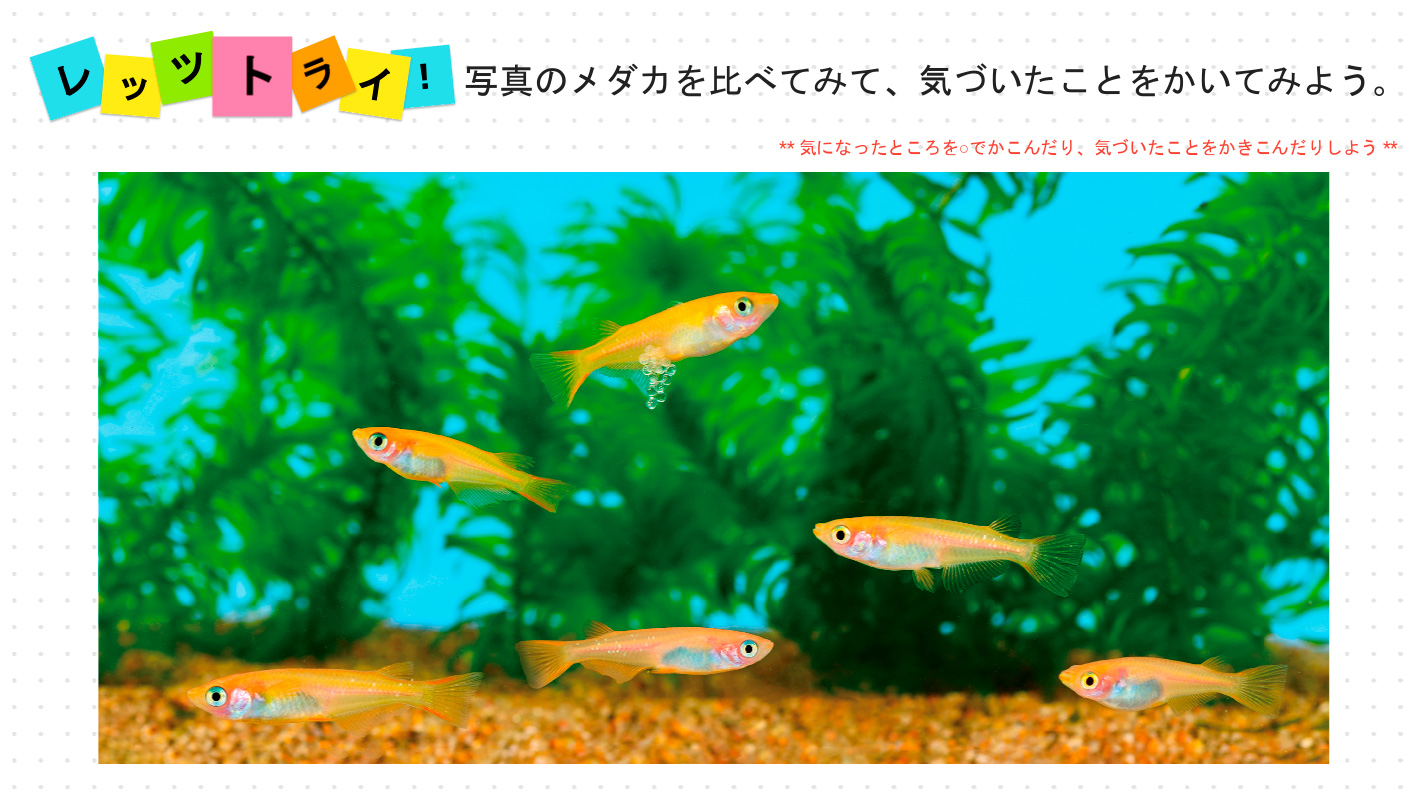 理科イチオシコンテンツ