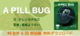 A PILL BUG ダンゴムシ