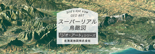 スーパーリアル鳥瞰図