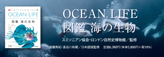 書籍編集の現場から
