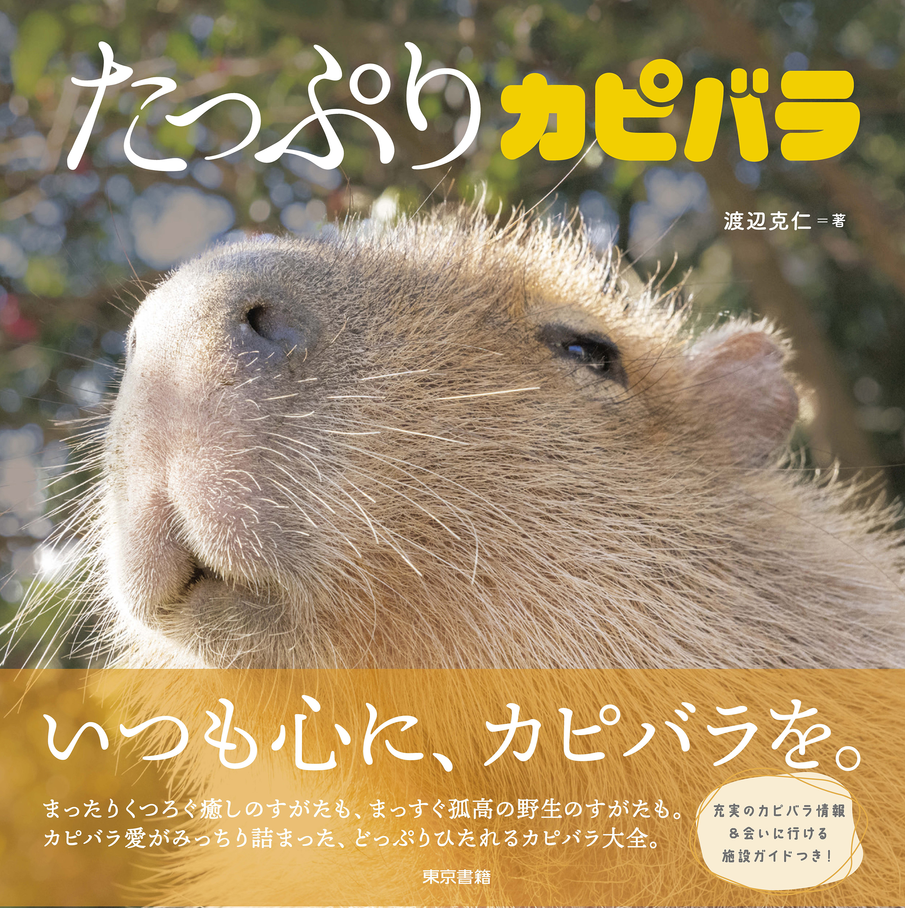 東京書籍】 一般書籍 趣味・実用 たっぷりカピバラ
