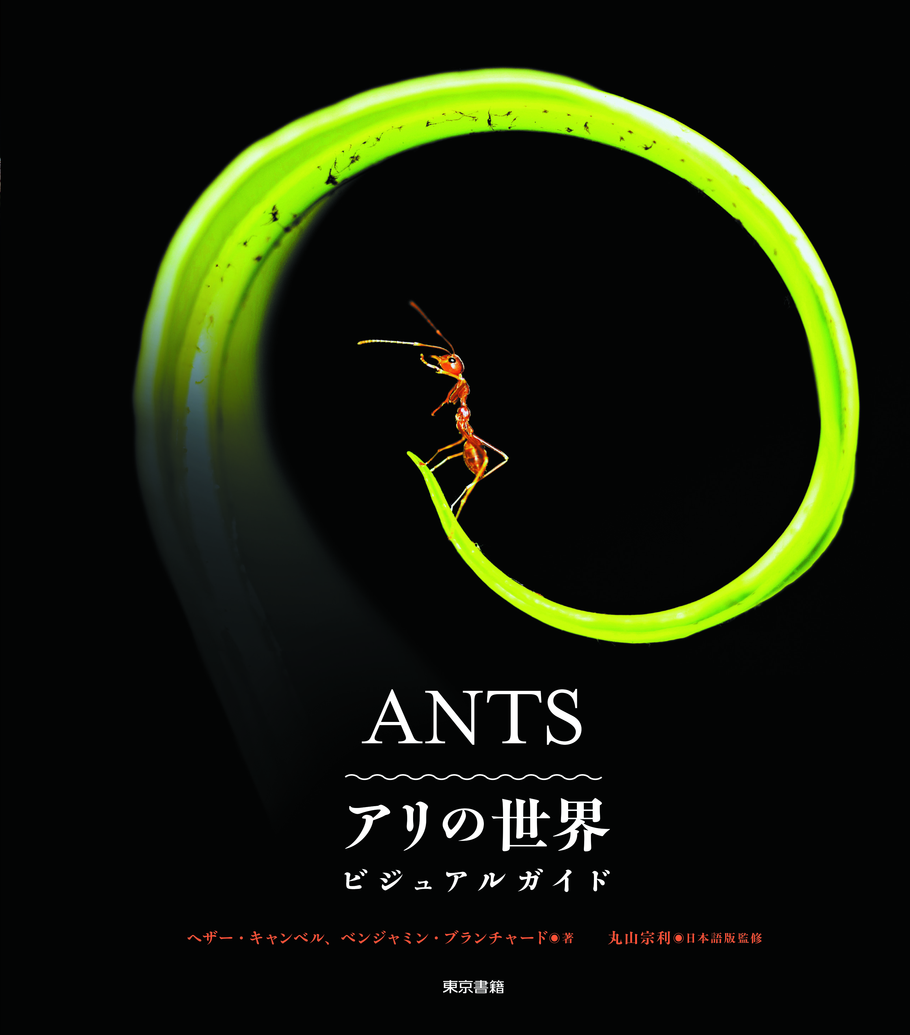 東京書籍】 一般書籍 自然科学 ANTS アリの世界 ビジュアルガイド