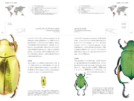 東京書籍】 一般書籍 自然科学 世界甲虫大図鑑