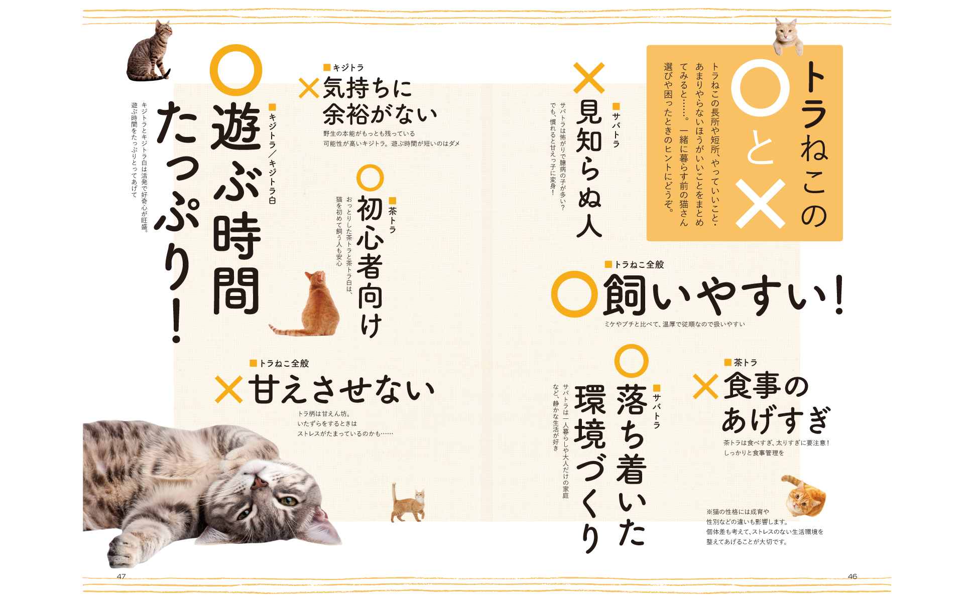 東京書籍】 一般書籍 趣味・実用 トラねこのトリセツ