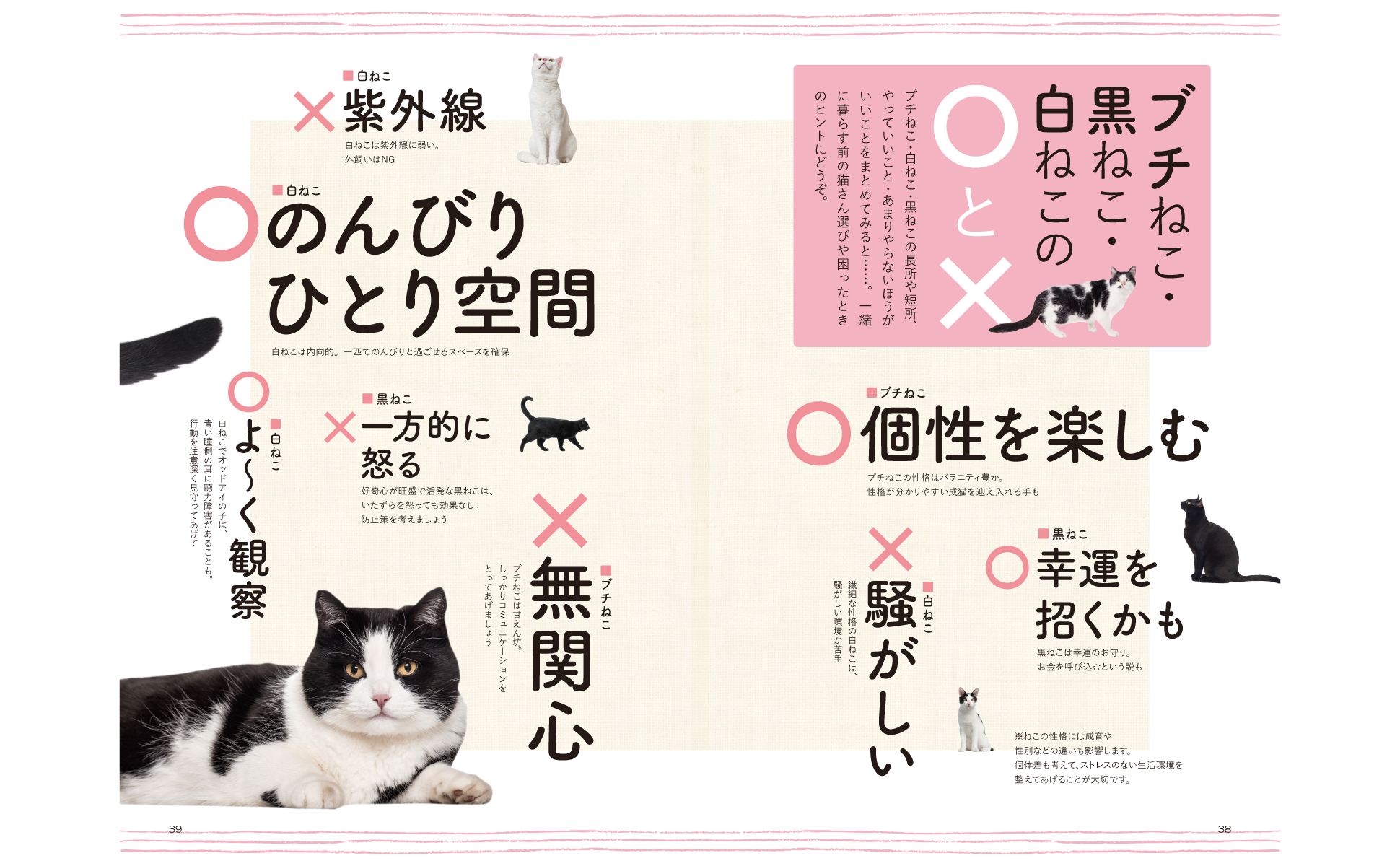 東京書籍】 一般書籍 趣味・実用 ブチねこのトリセツ