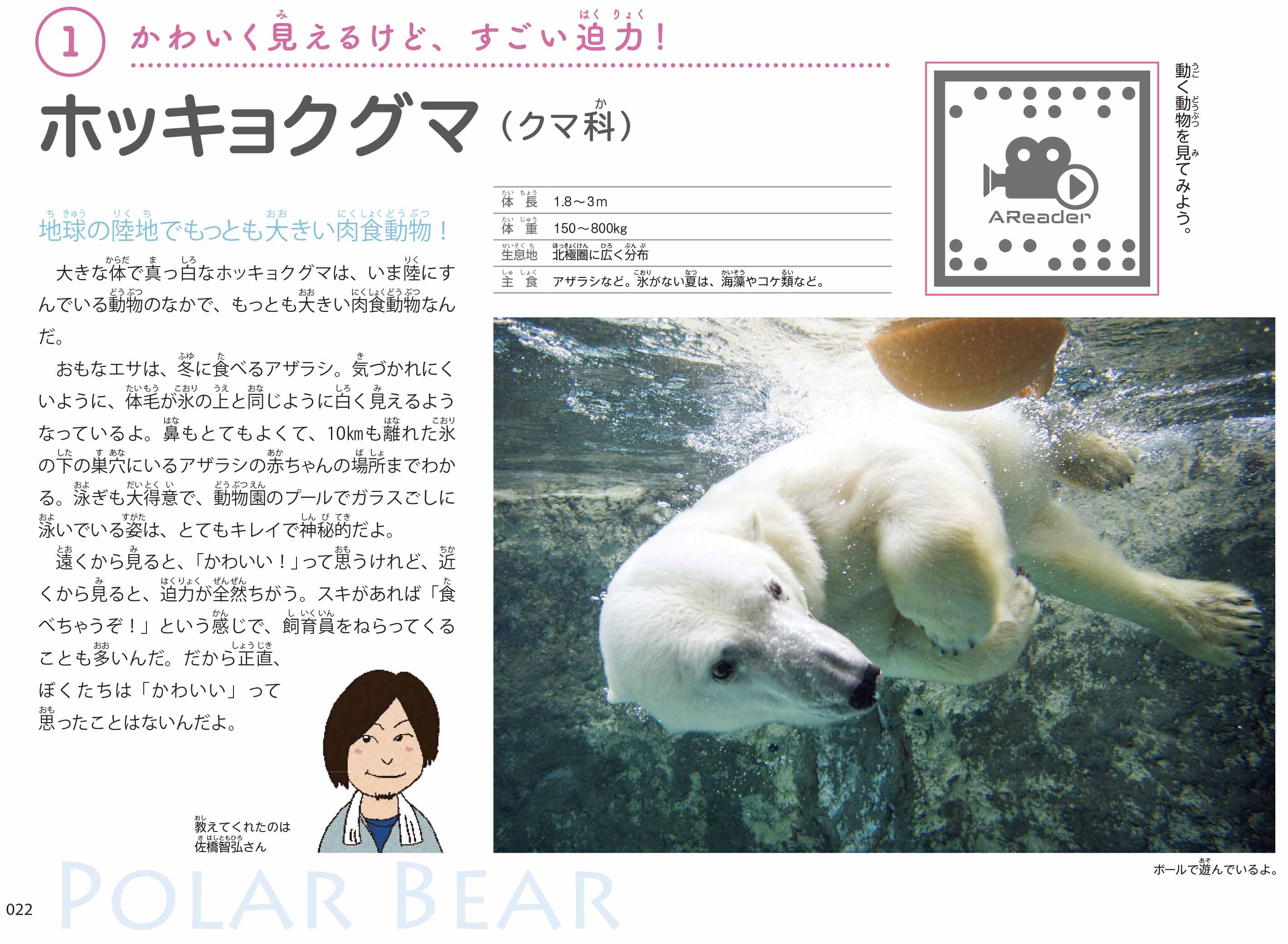 東京書籍】 一般書籍 自然科学 旭山動物園AR どうぶつ図鑑 第2版