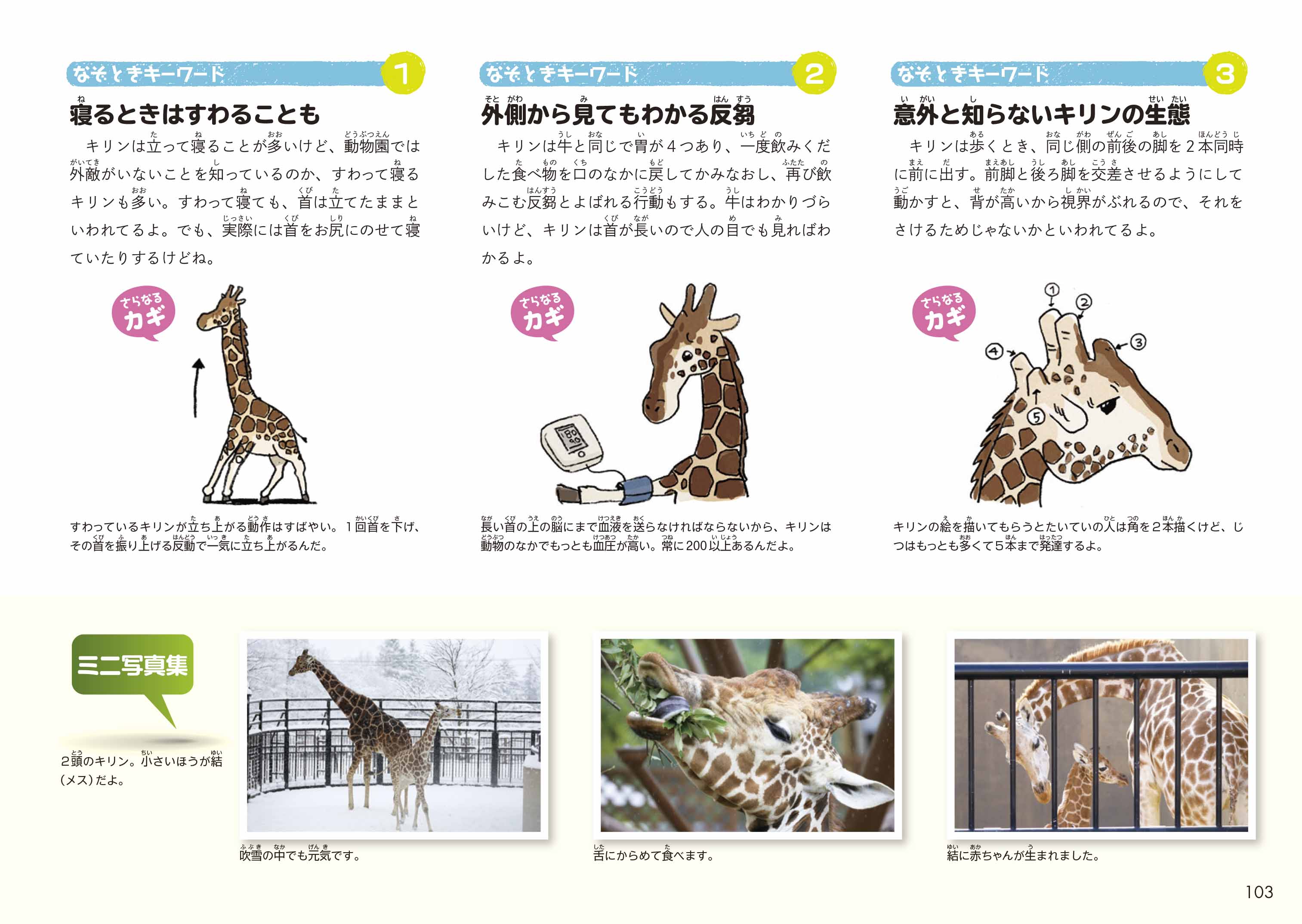 東京書籍】 一般書籍 自然科学 旭山動物園AR どうぶつ図鑑 第2版