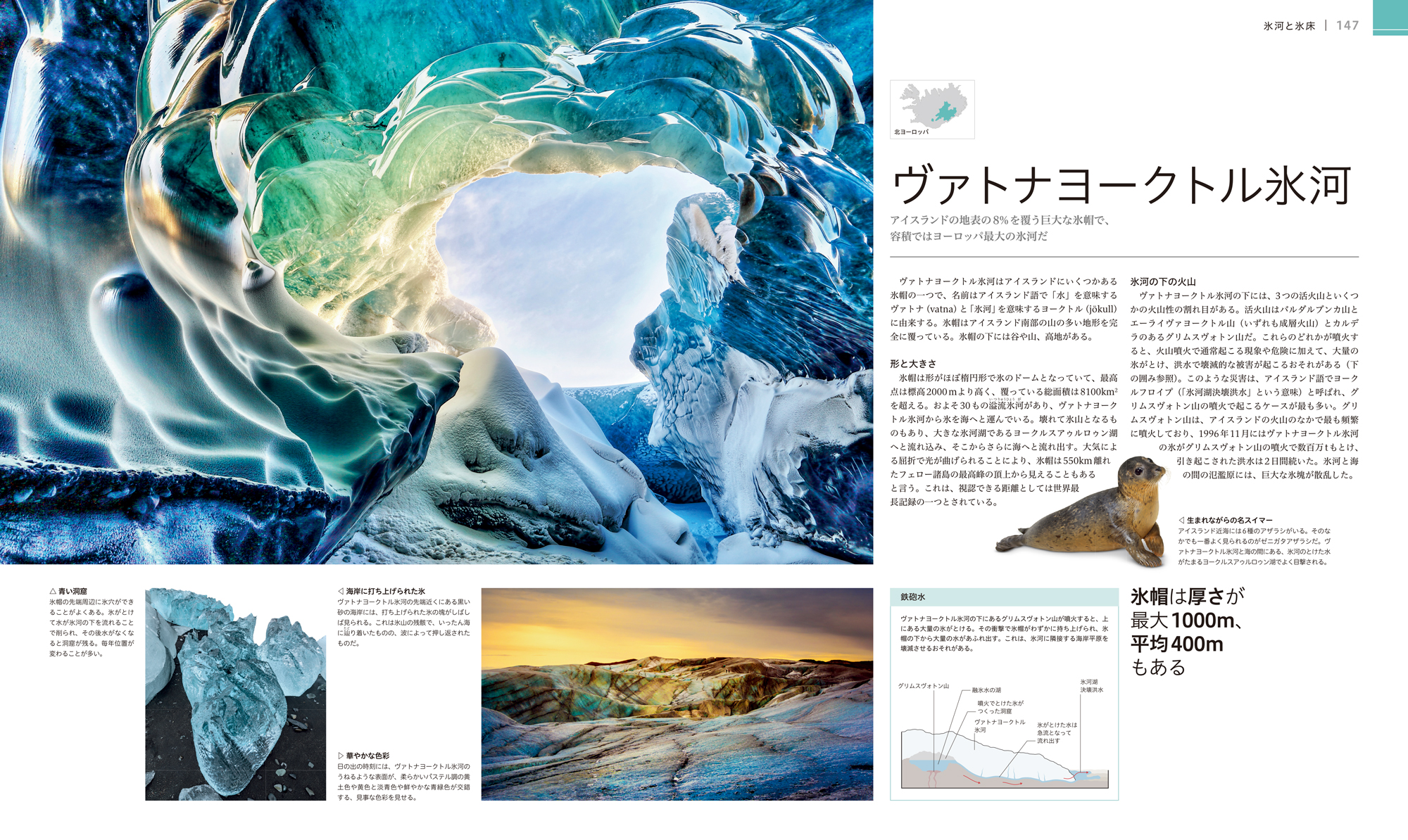 世界自然探検図鑑 Amazon.co.jp: 世界自然探険図鑑 チャレンジ自然探検ゼミ よむ