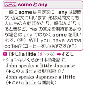 【ルール】では，日本人が間違えやすいポイントを解説しています。