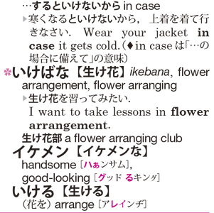 東京書籍】 一般書籍 語学・辞事典 ニューホライズン和英辞典 第6版
