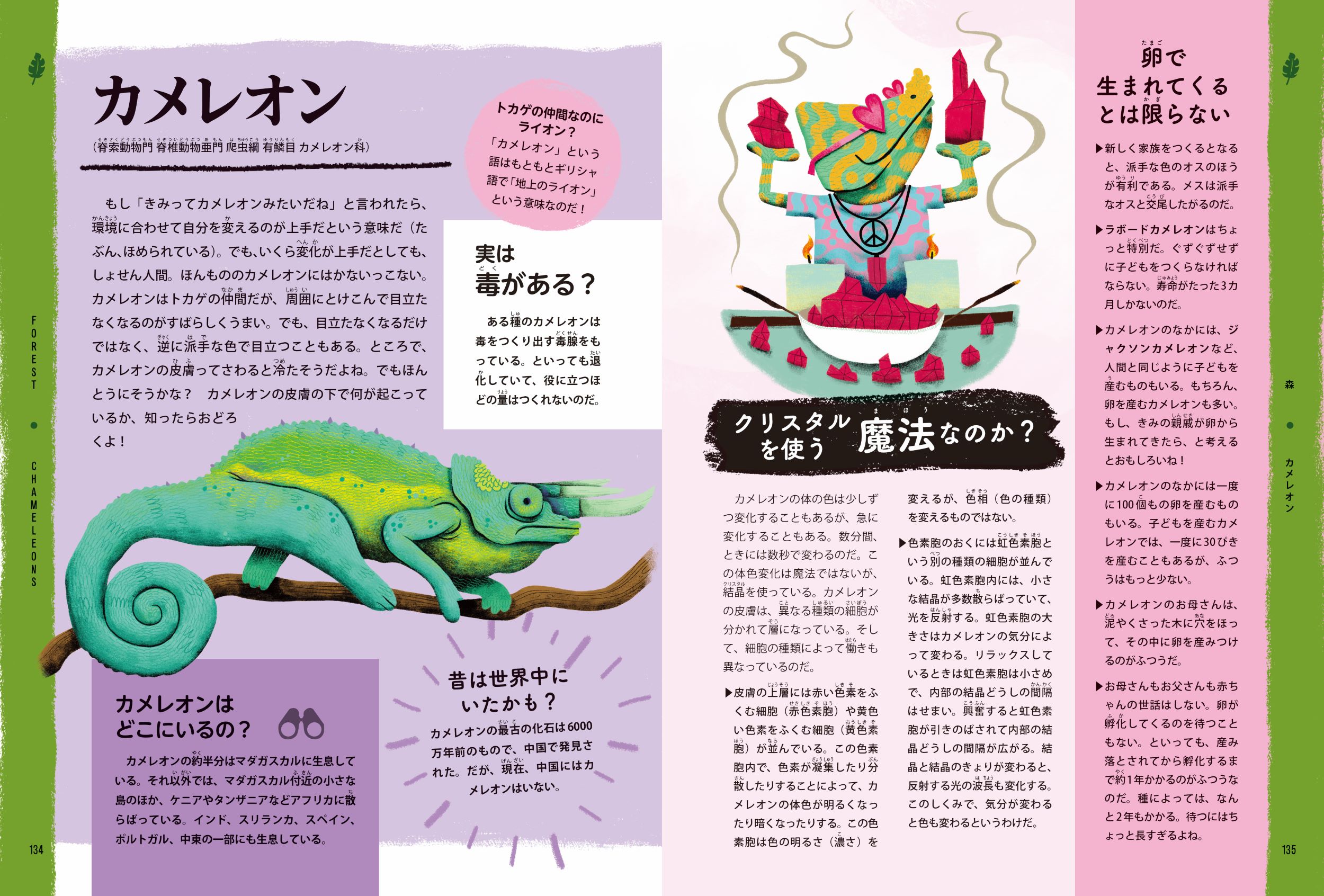 東京書籍】 一般書籍 自然科学 Dr.フラナリーのいきもの観察大図鑑