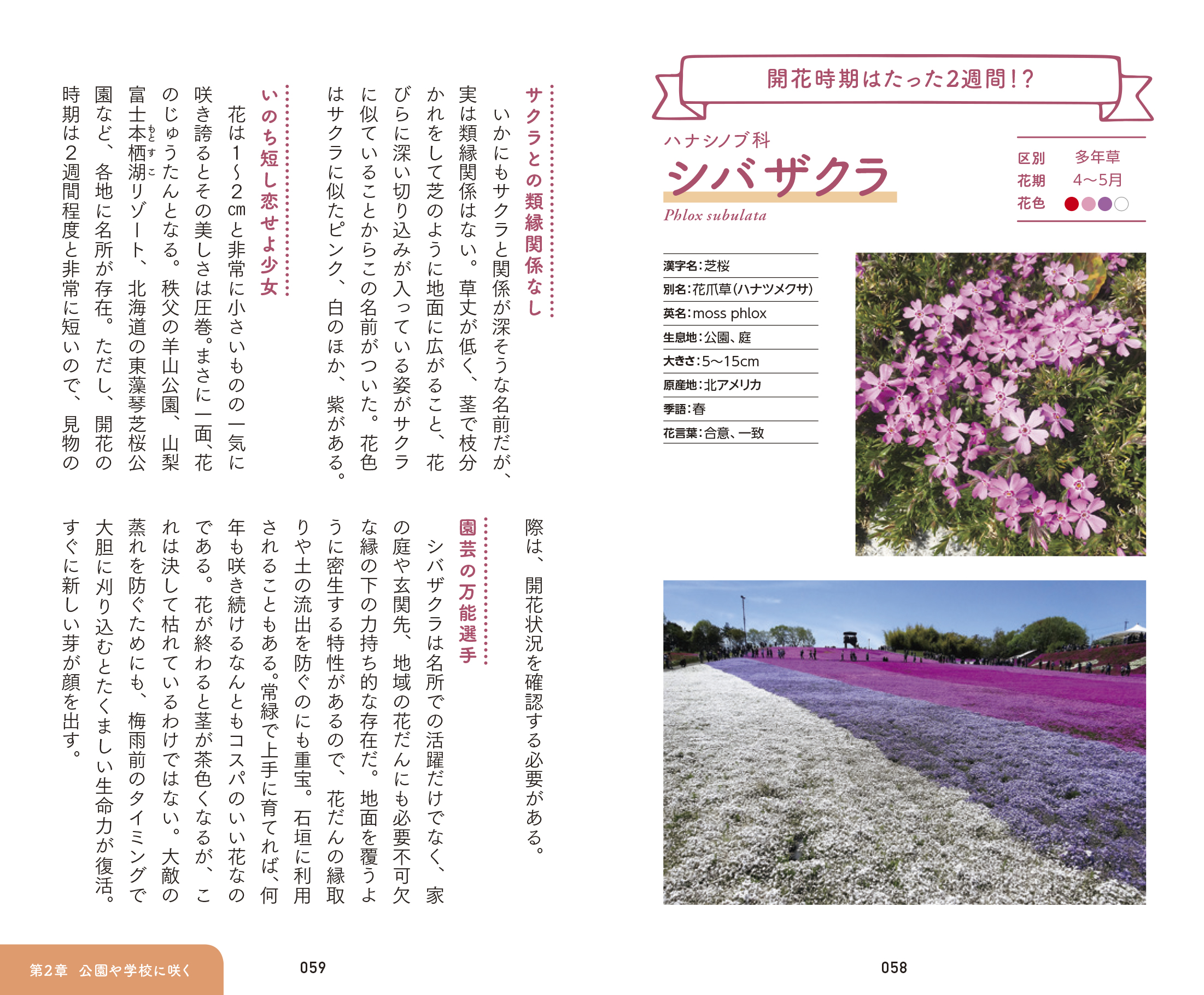 東京書籍】 一般書籍 趣味・実用 散歩が楽しくなる花の手帳