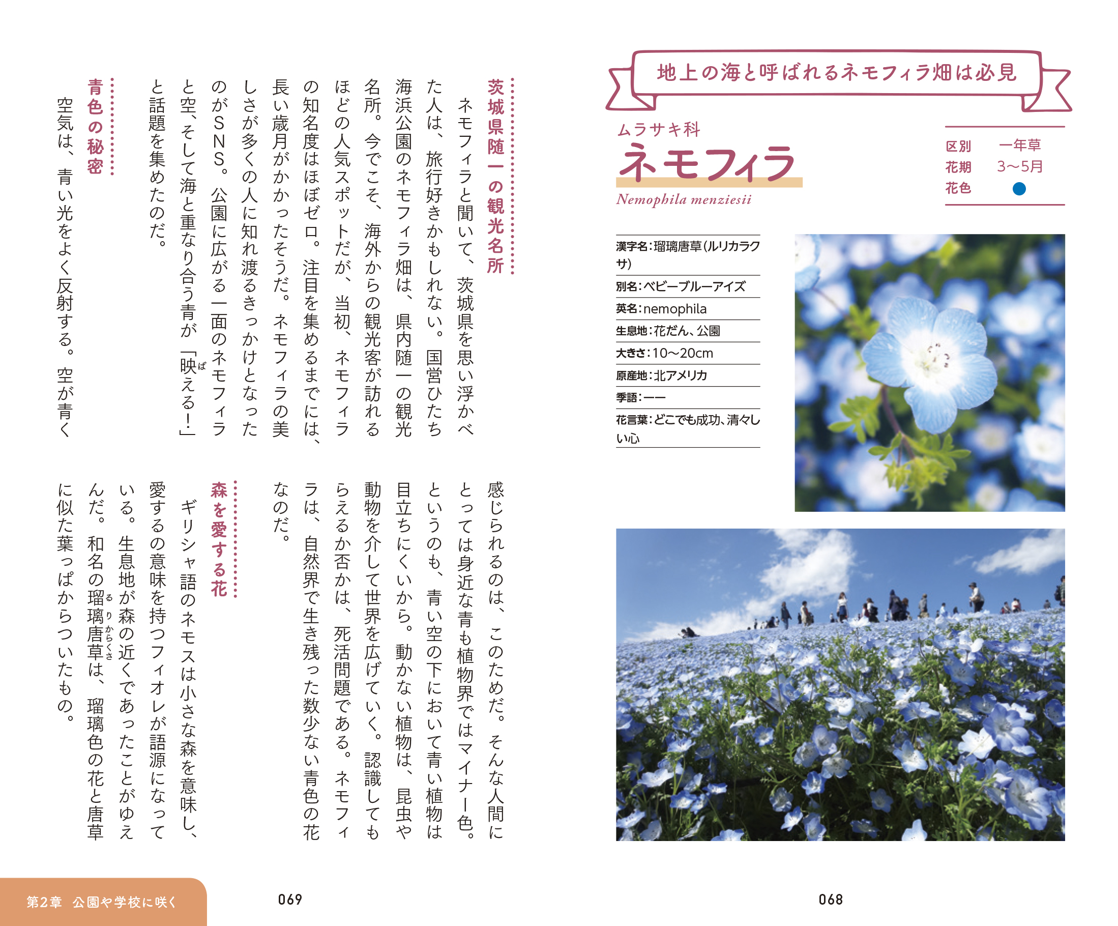 東京書籍】 一般書籍 趣味・実用 散歩が楽しくなる花の手帳