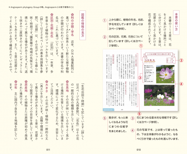 【東京書籍】 一般書籍 趣味・実用 散歩が楽しくなる花の手帳