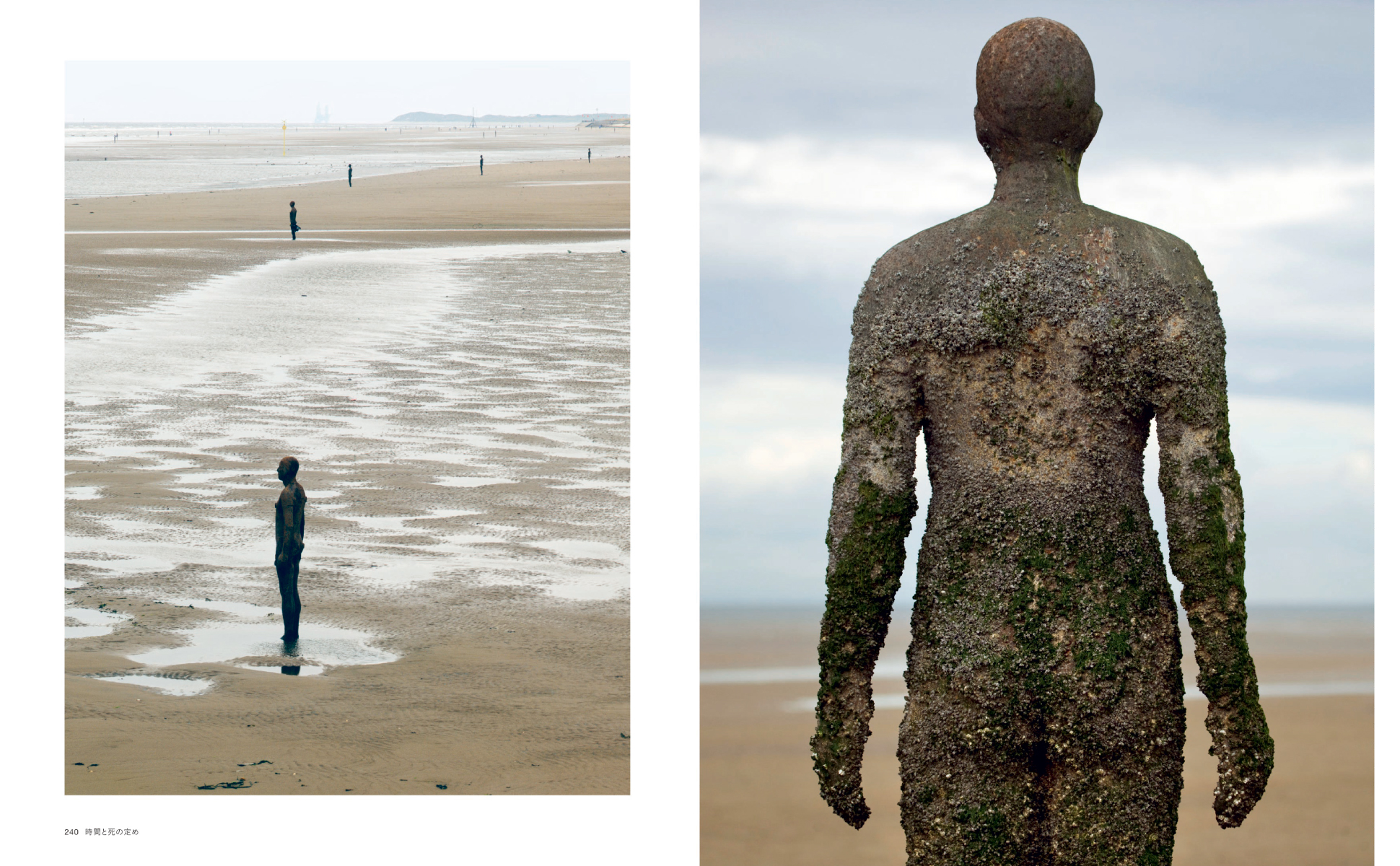 東京書籍】 一般書籍 芸術 彫刻の歴史