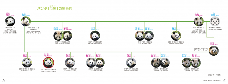パンダ「浜家」の家系図