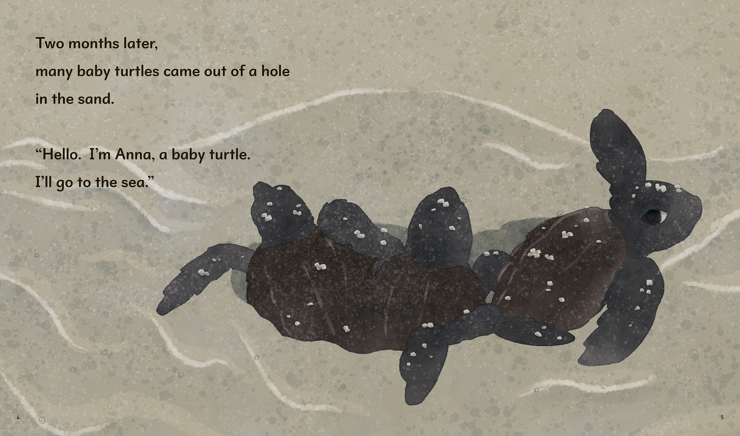 東京書籍】 一般書籍 児童図書 THE SEA TURTLE