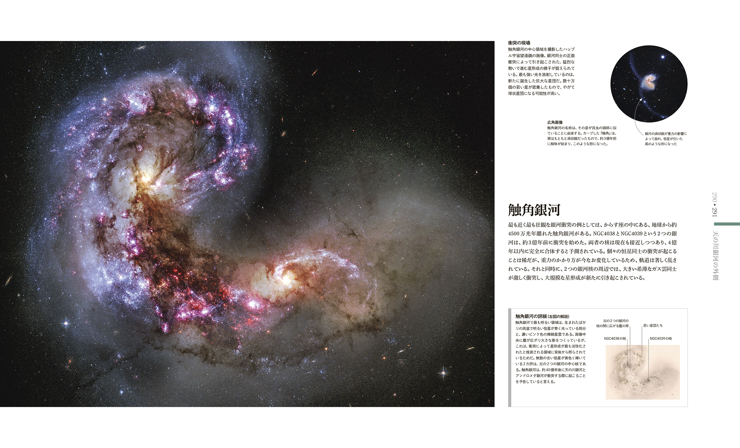 東京書籍】 一般書籍 自然科学 COSMOS 美しき宇宙の図鑑