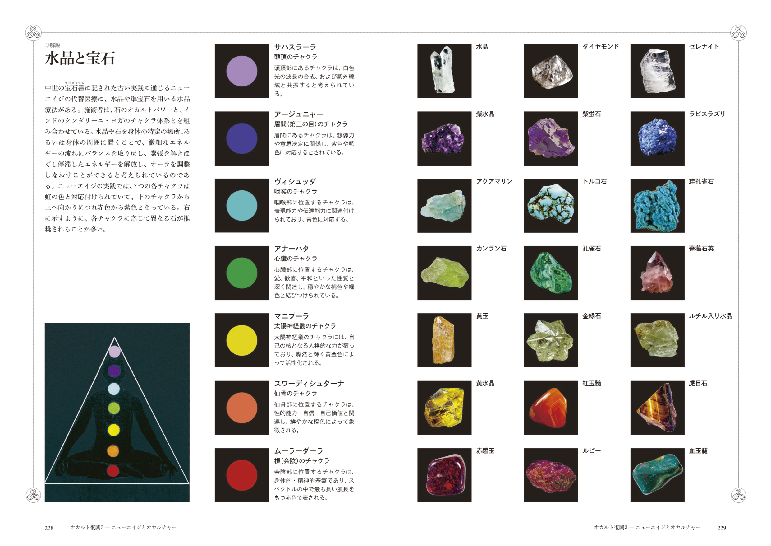 東京書籍】 一般書籍 人文社会 Occult 神秘思想表象大全