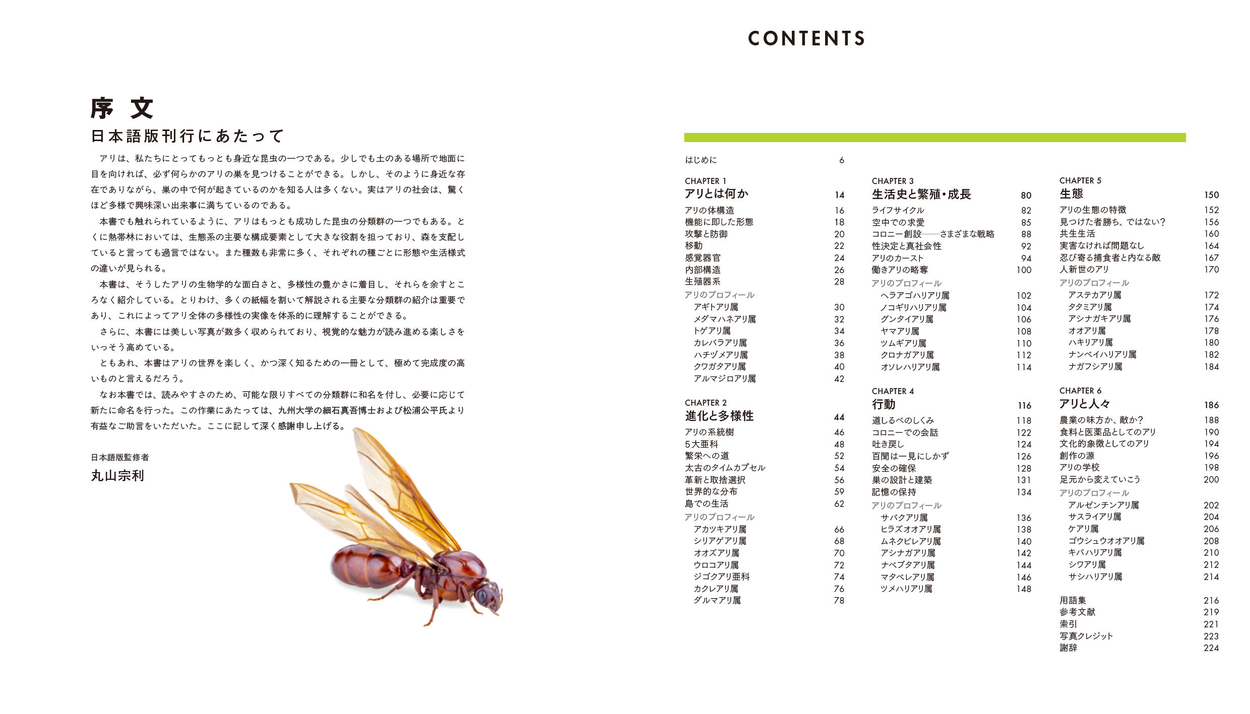 東京書籍】 一般書籍 自然科学 ANTS アリの世界 ビジュアルガイド