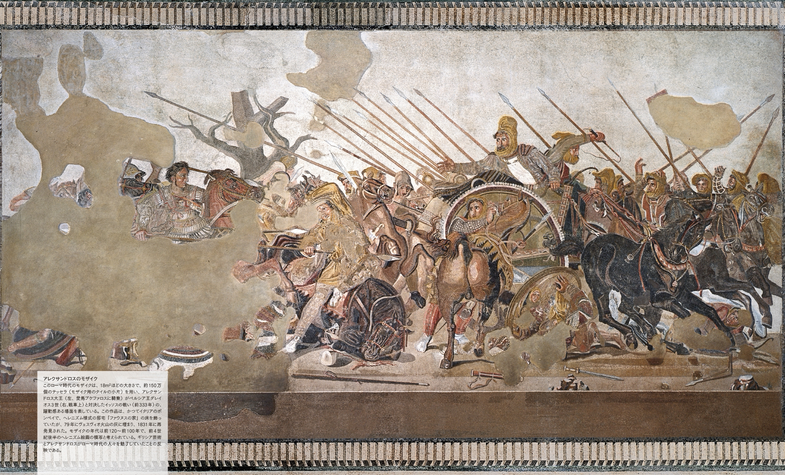 ギリシャ 古銭 16枚 コレクション（1869〜1930年代）専用アルバム付 東京書籍】 一般書籍 歴史・地理 図鑑 古代ギリシア