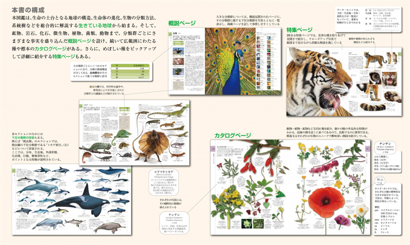 東京書籍 一般書籍 自然科学 地球博物学大図鑑