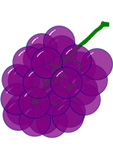 GRAPES-light