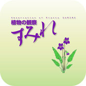 植物の観察すみれ(iOS,Winodws8)