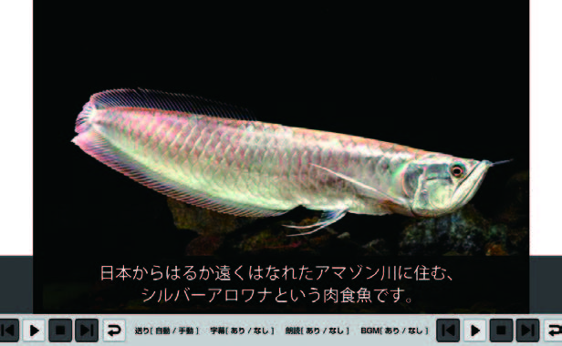 さし絵と朗読で紙しばい風の資料提示が可能なスライドショー