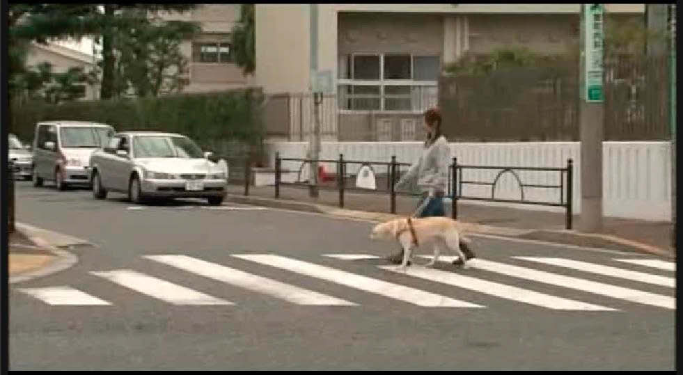 豊富な資料