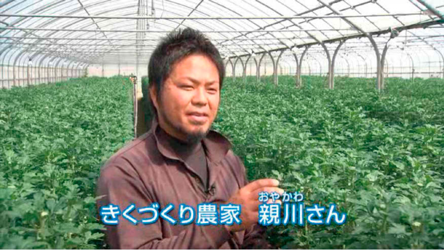 インタビューを聞く