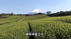 「日本の伝統」の映像