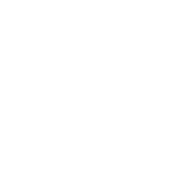 全ページフルカラー